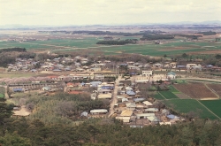 군서면 죽정마을(1980년)