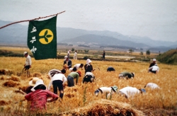 1978년 새마을 운동 공동 보리베기